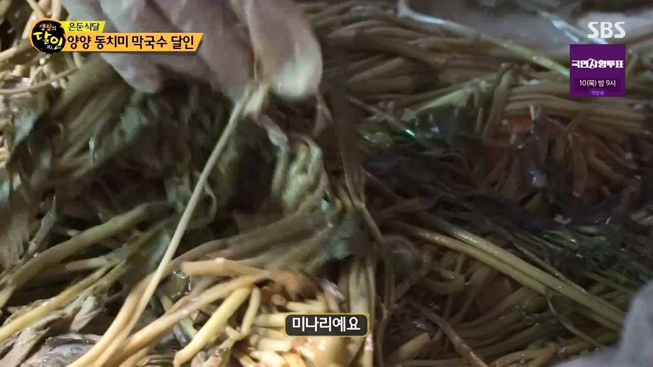 생활의 달인.E899.230732p-NEXT.mp4_20230801_213218.954.jpg