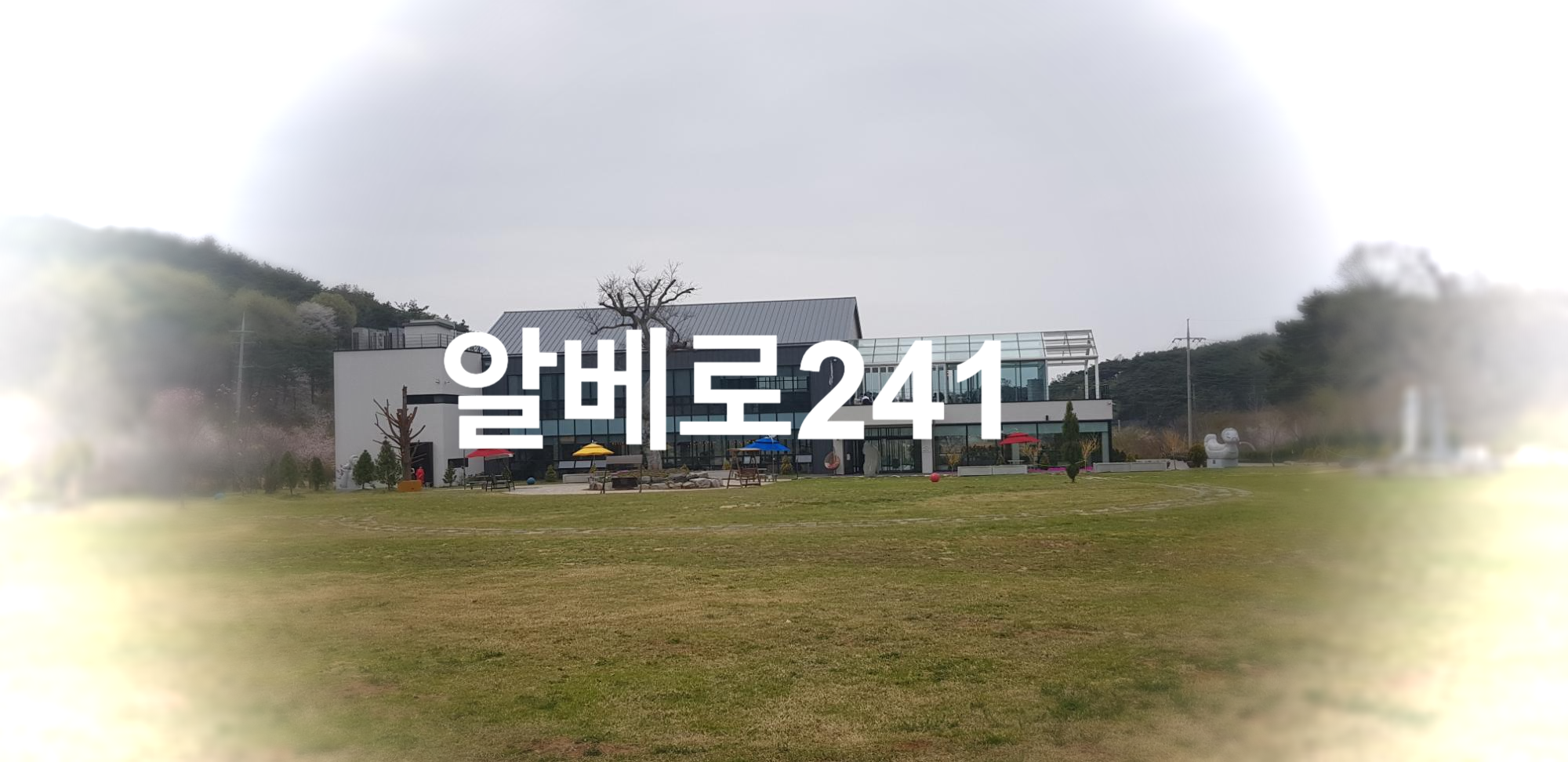  알베로241 에덴힐즈 안 분위기 좋은 카페