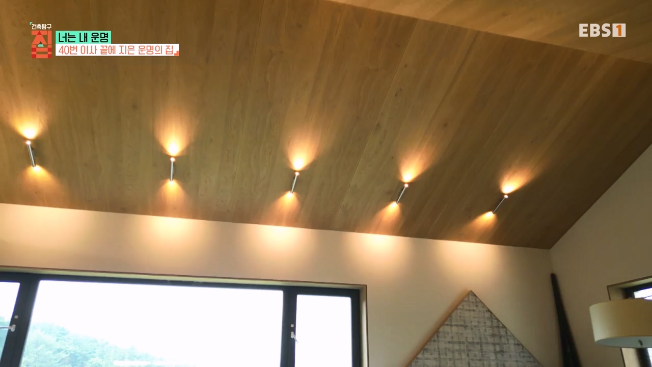 TV - 전 국민의 평생학교 EBS너는 내 운명.mp4_20231123_211352.736.jpg