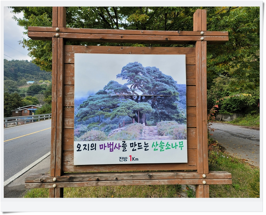 상동 장산 야영장 이미지