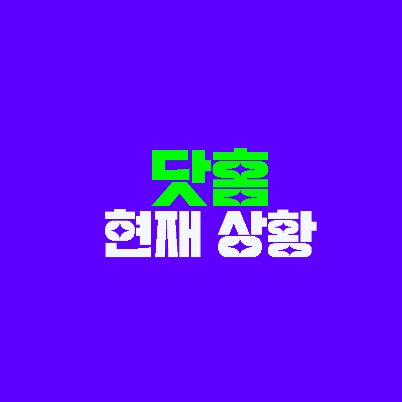 닷홈 현재 상황