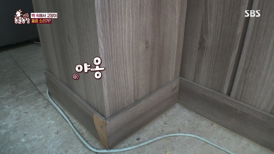 TV 동물농장.E1124.230611p.H264-F1RST.mp4_20230611_173542.133.jpg