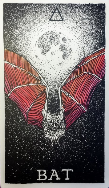  [오라클카드배우기] The wild unknown animal spirit 와일드 언노운 애니멀 스피릿 Bat 박쥐 해석 및 의미