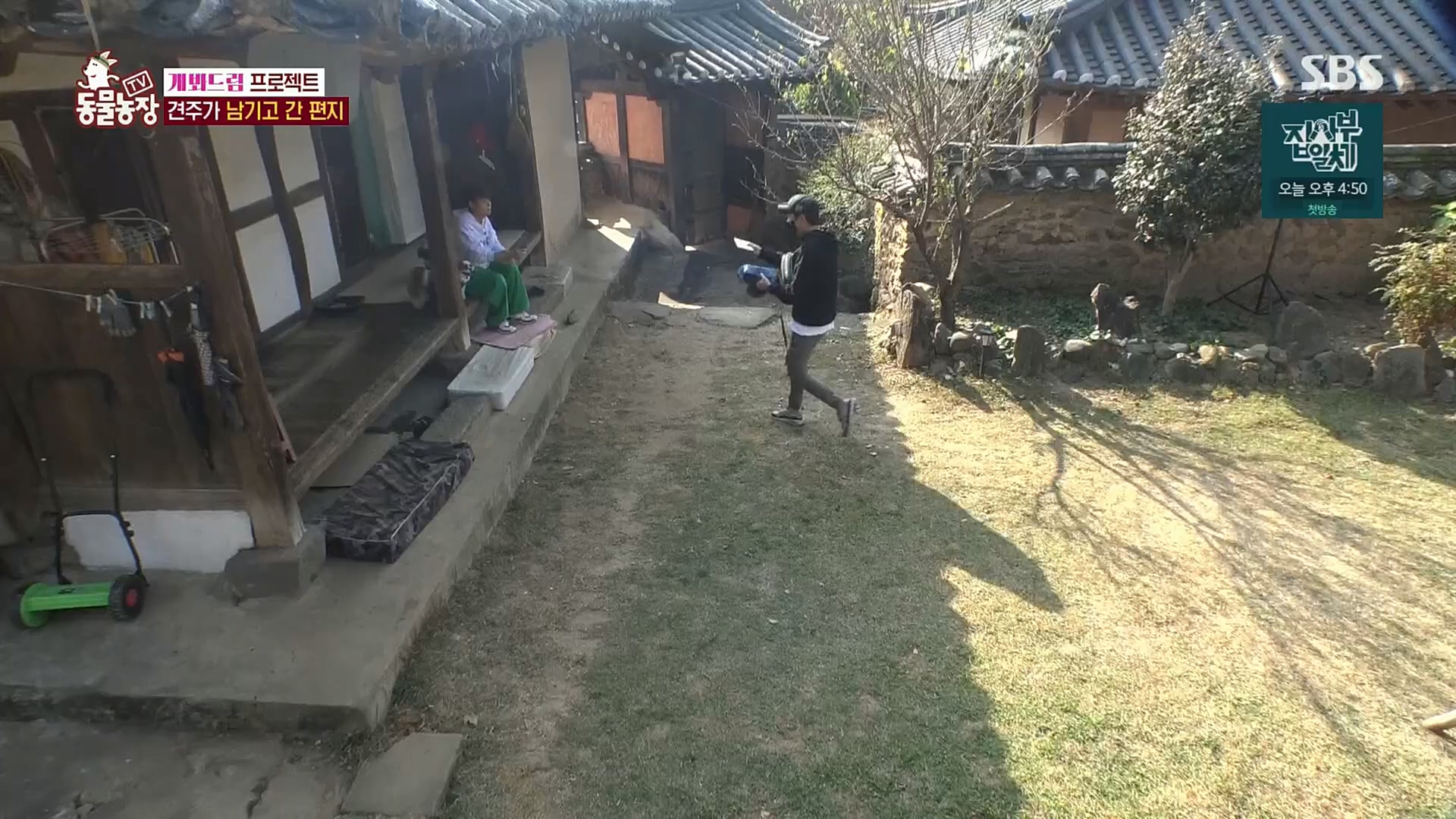 TV 동물농장.E1102.230101p.H264-F1RST.mp4_20230101_182847.960.jpg