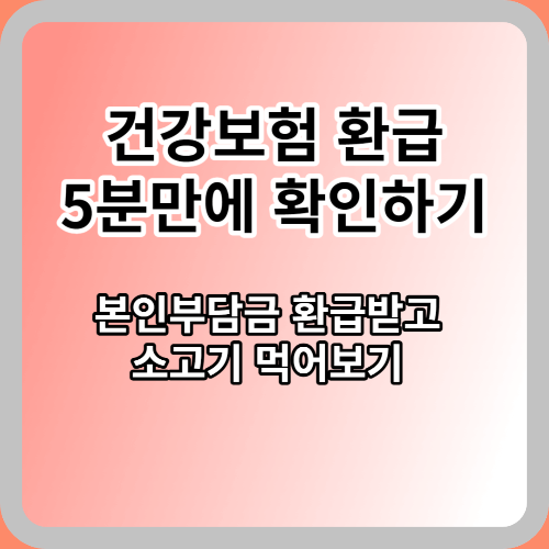  건강보험 환급금 5분만에 확인하는 법