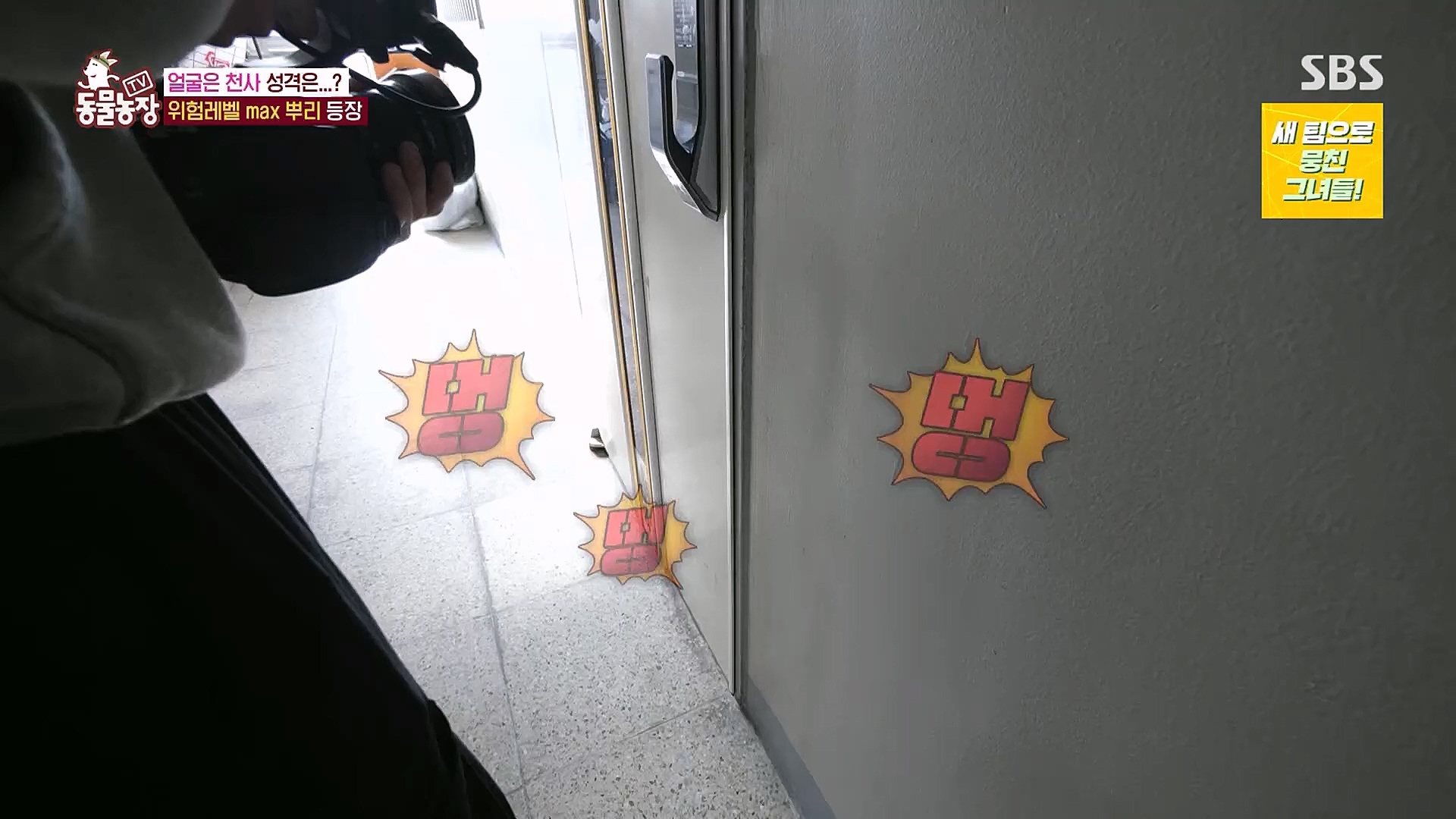 TV 동물농장.E1104.230115p.H264-F1RST.mp4_20230115_173156.992.jpg