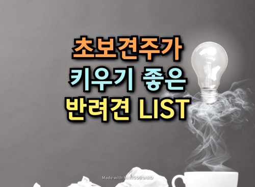  초보견주가 키우기 좋은 반려견 리스트