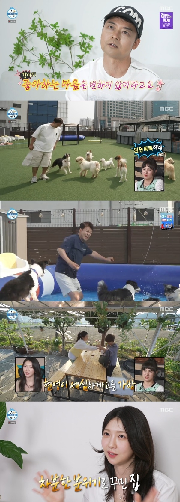 전현무