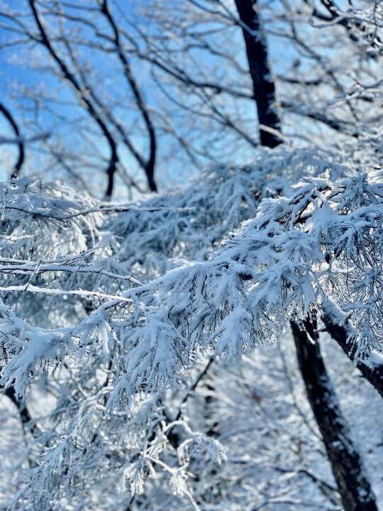 청계산-상고대