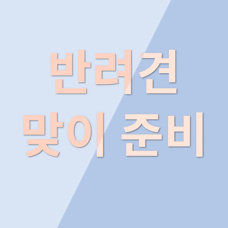 크림 닥스훈트 분양_2