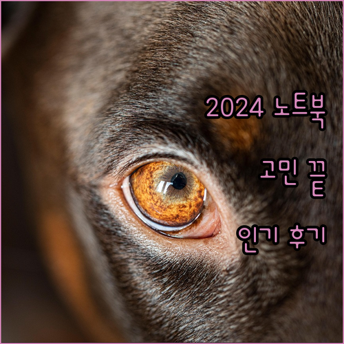 2024년형 노트북 구매 고민 끝! 