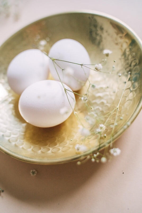 egg 달걀 계란 알 닭 병아리 꿈 4