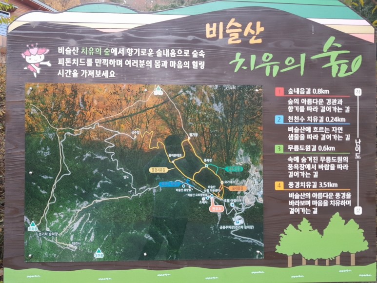 비슬산 치유의 숲 [비슬산 산림치유센터] 산림치유로 마음 11