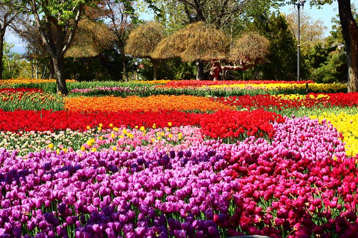 봄꽃-귀여운-동물원-네이처파크-플라워-페스티벌