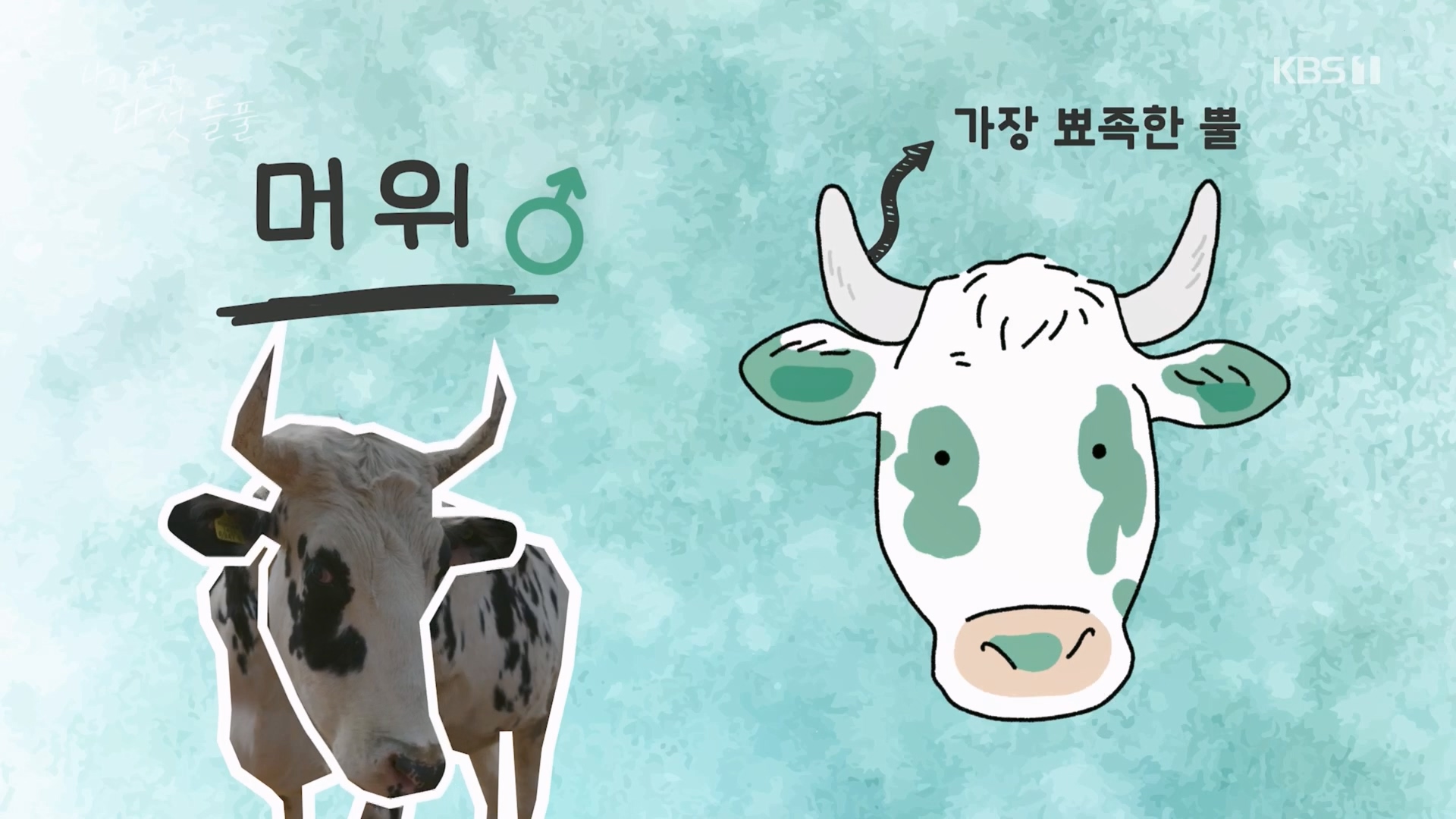 특집 다큐 나의 친구, 다섯 들풀.240119p.H264-F1RST.mp4_20240121_150408.534.jpg