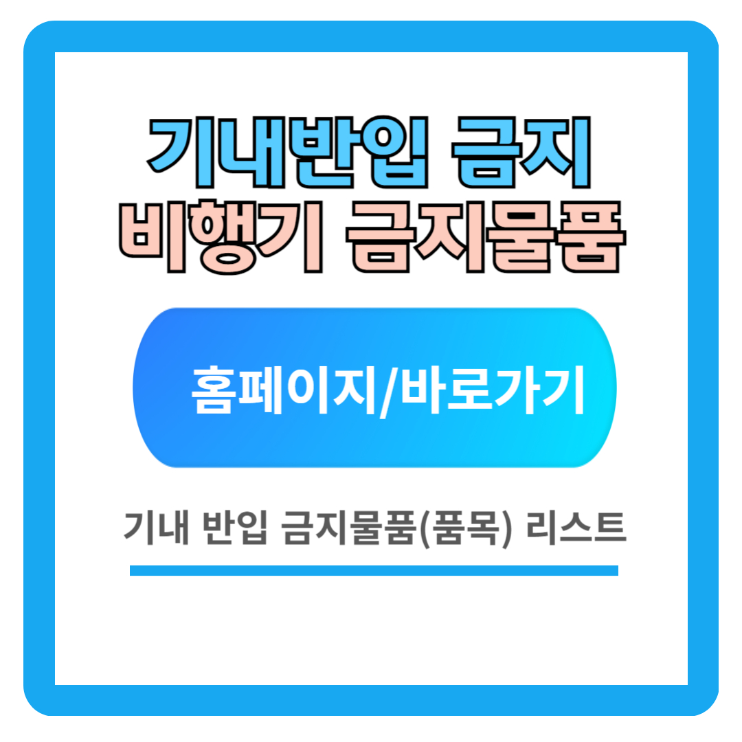 기내 반입 금지 물품 (품목) : 비행기 금지 물품