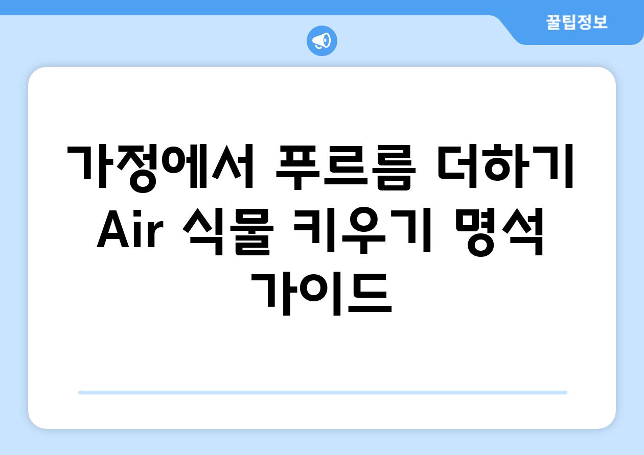 가정에서 푸르름 더하기| Air 식물 키우기 명석 가이드