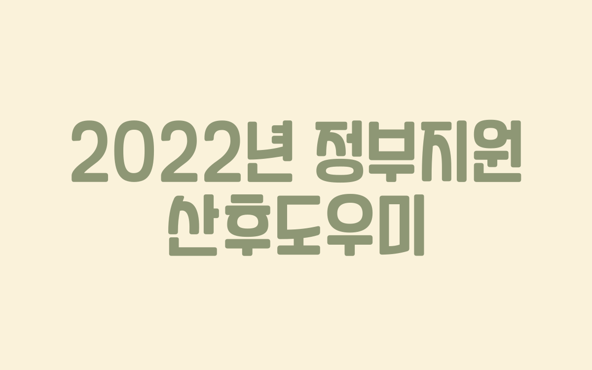  2022년 정부지원 산후도우미