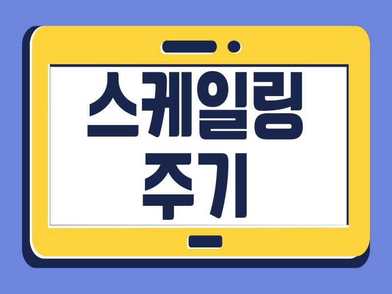 스케일링 주기