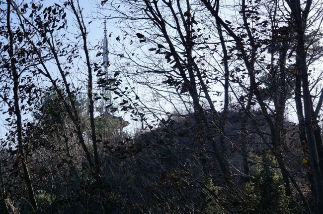 나뭇가지 사이로 보이는 천주산 정상&#44; 엷게 푸른 하늘&#44;