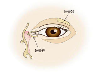 안구건조증