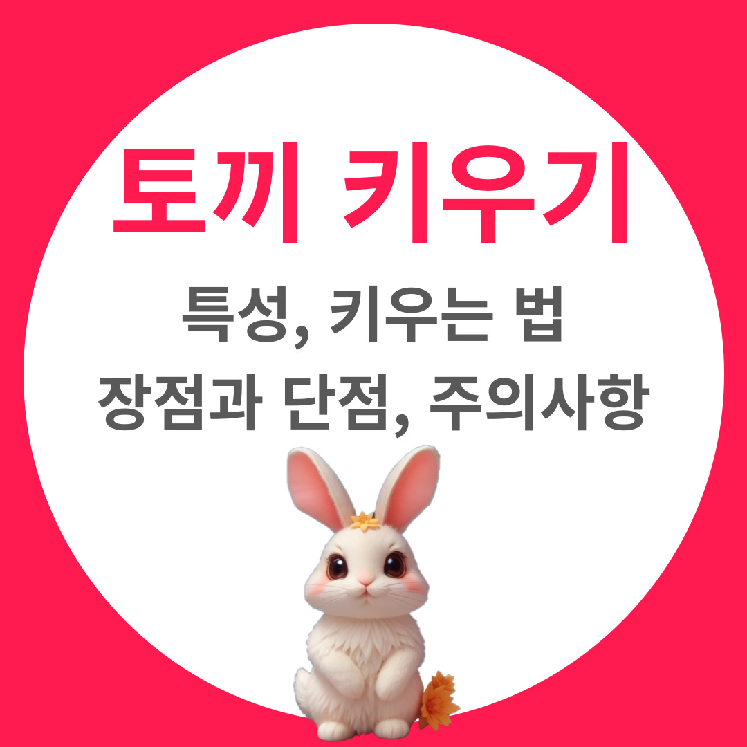 토끼를 반려동물로! 토끼 키우기의 장단점과 주의사항