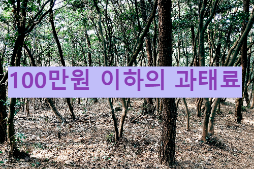 100만원 이하의 과태료