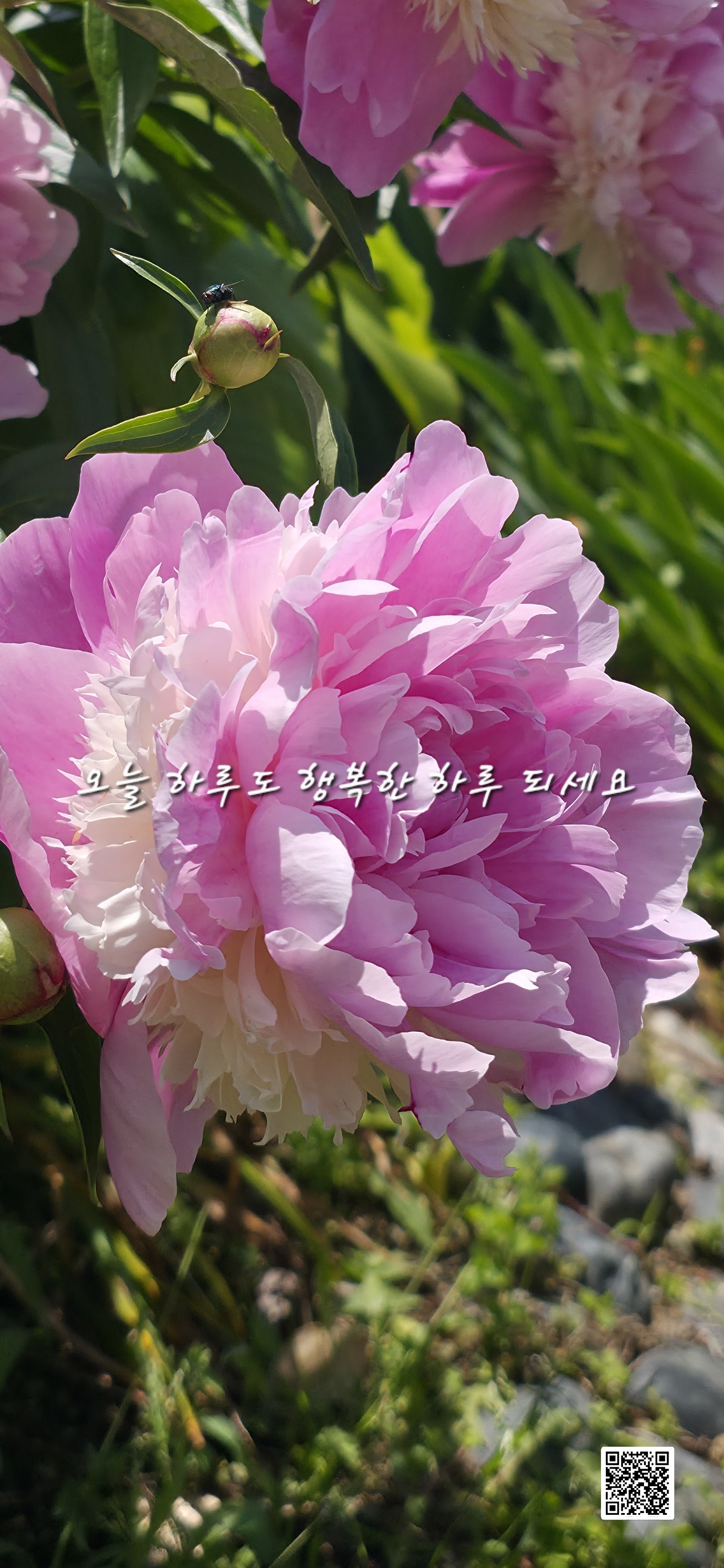 만남 이미지