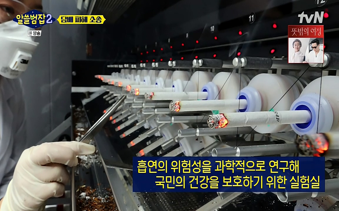 알쓸범잡 2.E16.220502p-NEXT.mp4_20220502_183939.885.jpg