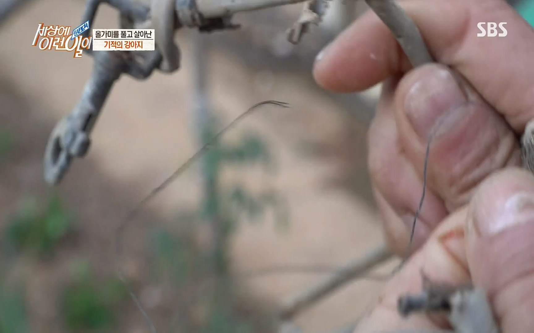 순간포착 세상에 이런일이.E1184.220614p.H264-F1RST.mp4_20220615_201706.212.jpg