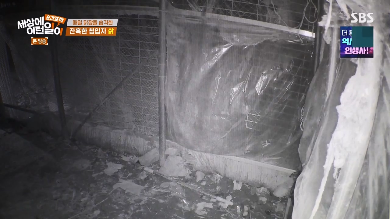 순간포착 세상에 이런일이.E1257.231224p-NEXT.mp4_20231224_180236.646.jpg