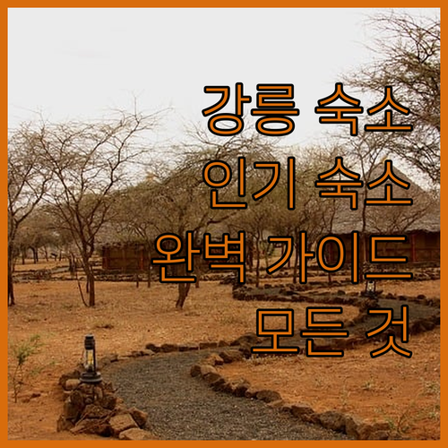 강릉 숙소 완벽 가이드 인기 숙소들의