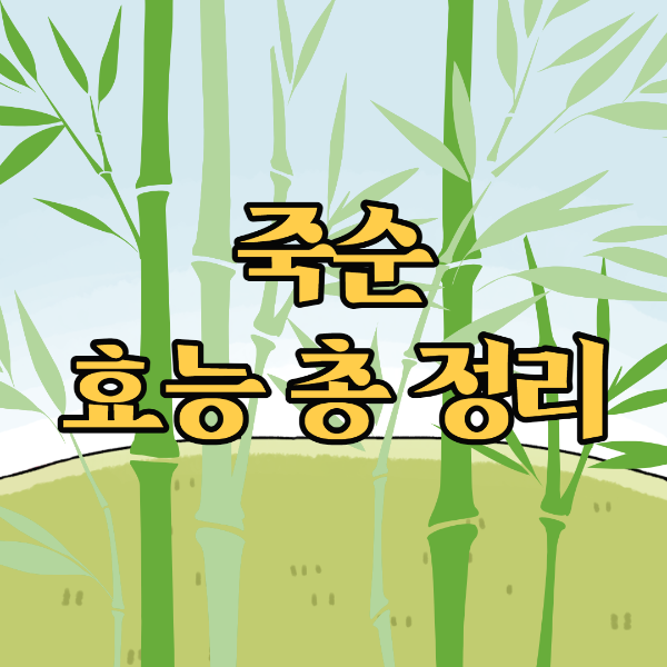  죽순 효능 총 정리 / 부작용 / 고르는 법 / 보관법 / 먹는법
