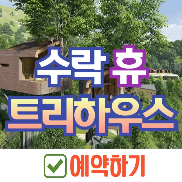 수락 휴 트리하우스 예약
