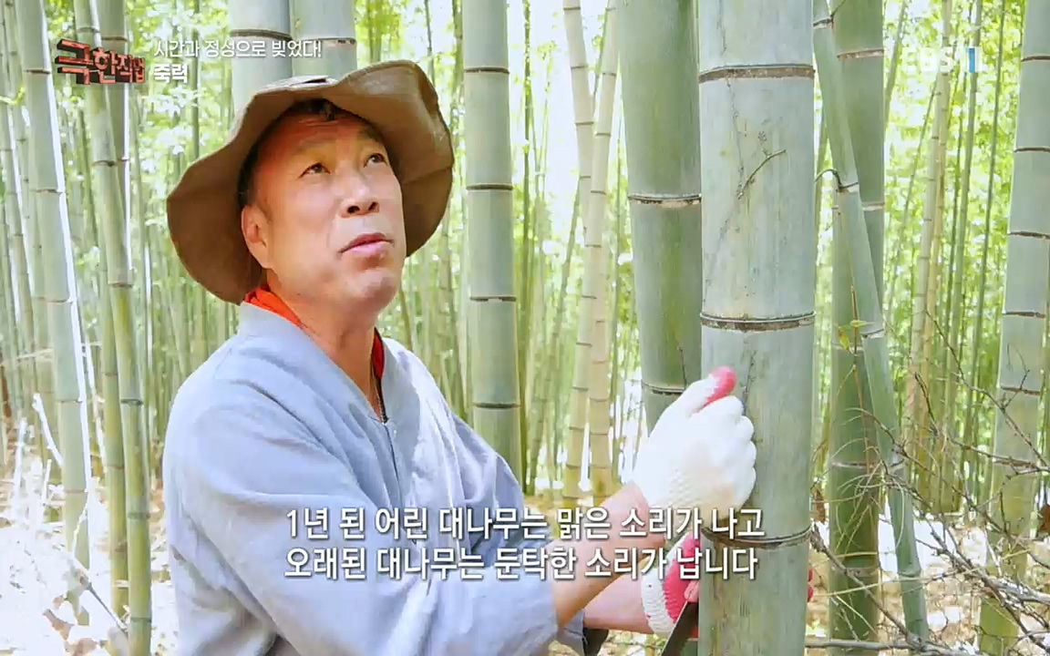 TV - 교육의 중심 EBS시간과 정성으로 빚었다! 유황오리 엿, 죽력, 도라지정과.mp4_20220521_185529.745.jpg