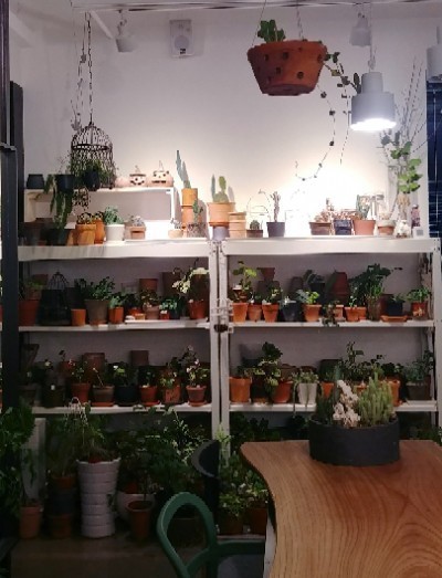  창원 봉곡동 카페 : 봉곡동 343