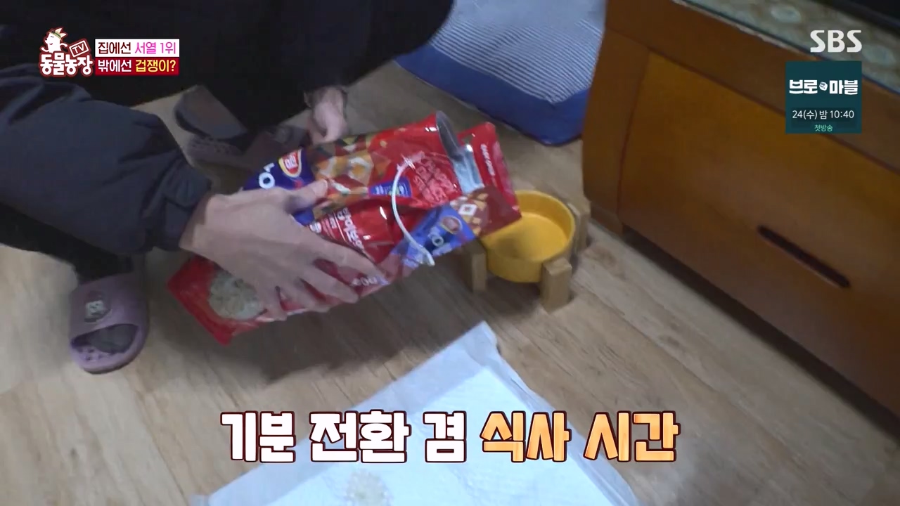 TV 동물농장.E1155.240122p-NEXT.mp4_20240121_145941.678.jpg