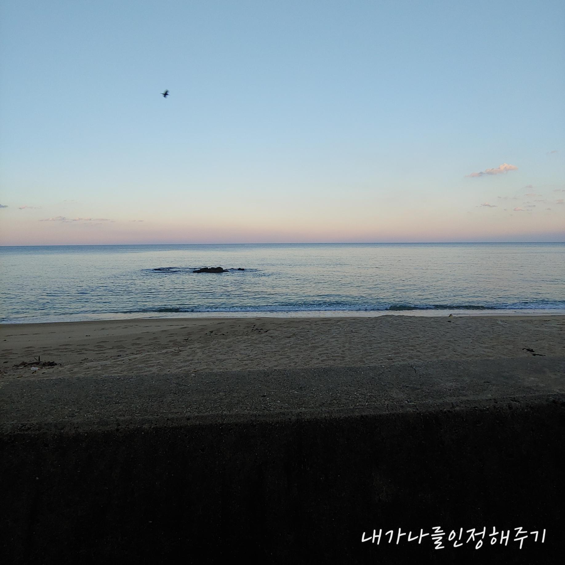  코로나 미접종자에 대해