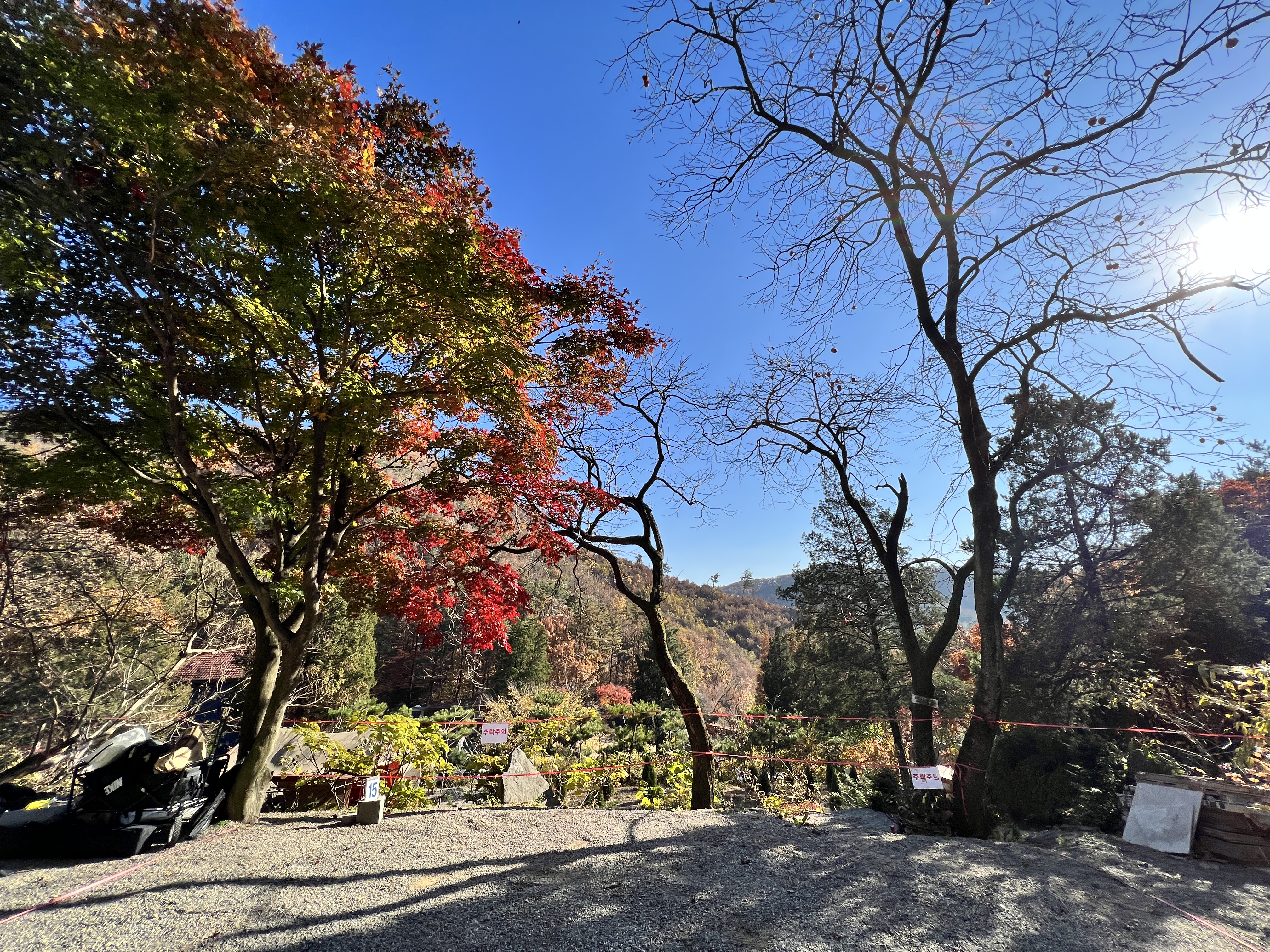  [경기도 캠핑장] 용인 다누리움 오토캠핑장 C구역 C15 (2022.11.05 - 2022.11.06)