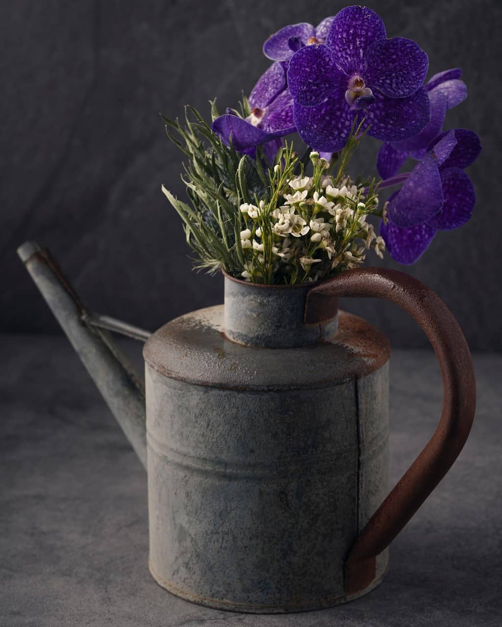 꽃 피는 실내 식물 – 실내에서도 꽃을 즐기는 식물 선택 - Indoor Plant Selection Tips for Beginners