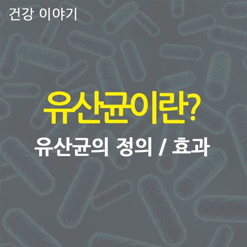  유산균의 정의와 우리 몸에 미치는 영향