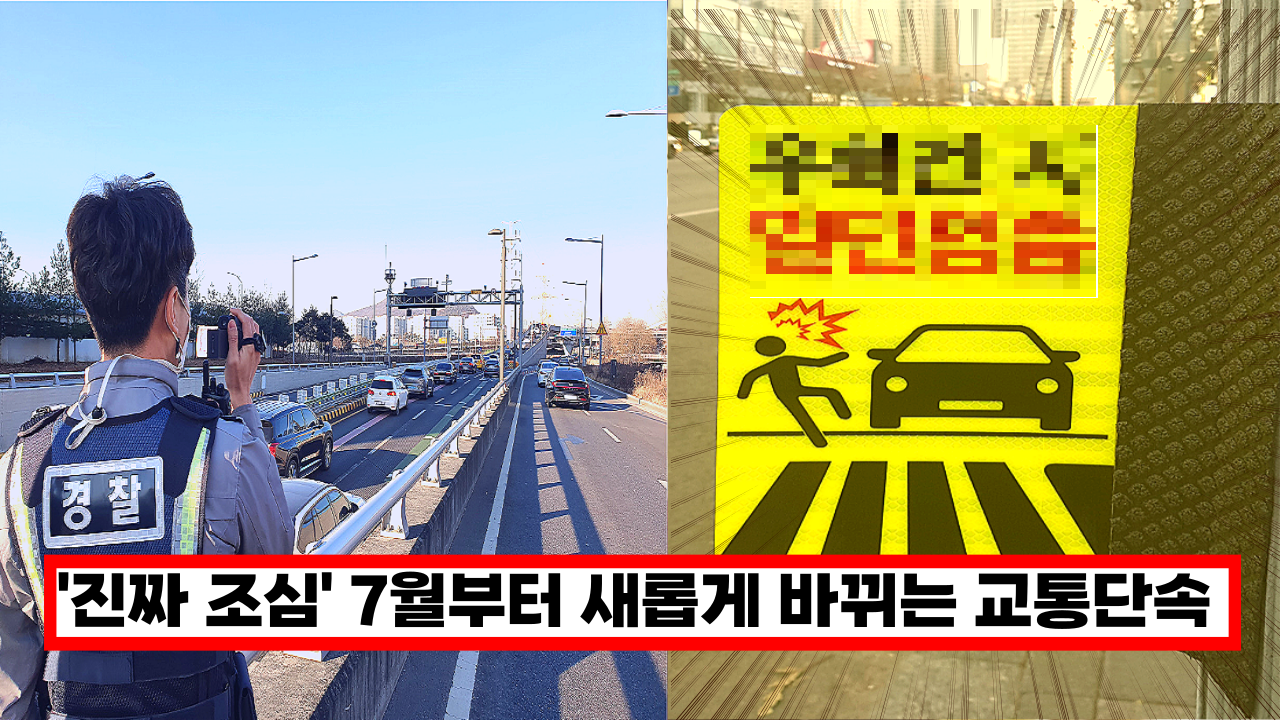  '진짜 조심하세요' 7월부터 새롭게 바뀌는 교통 단속 이때 지나가면 바로 걸립니다.