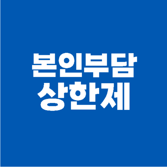 본인부담상한제