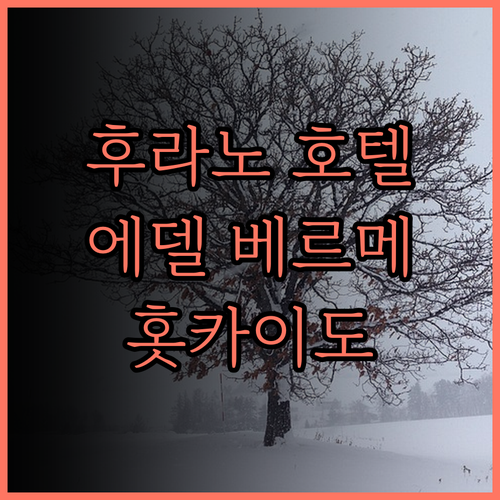 후라노 호텔 추천 에델 베르메, 홋카
