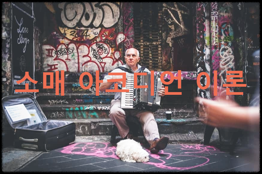 소매 아코디언 이론 : 소매점의 진화과정을 상품믹스를 기준으로 설명한 이론