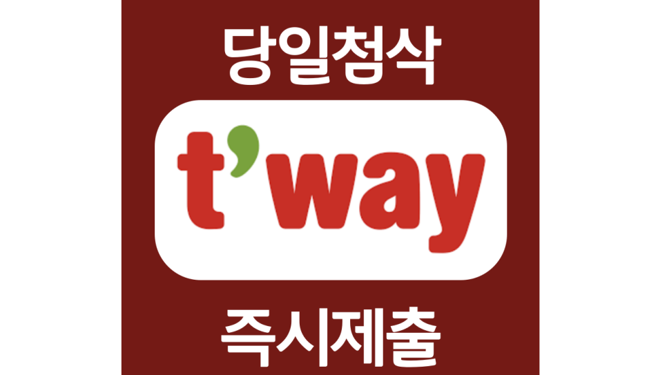  티웨이항공 신입 및 경력 자기소개서 자소서 문항 작성방법 첨삭받기