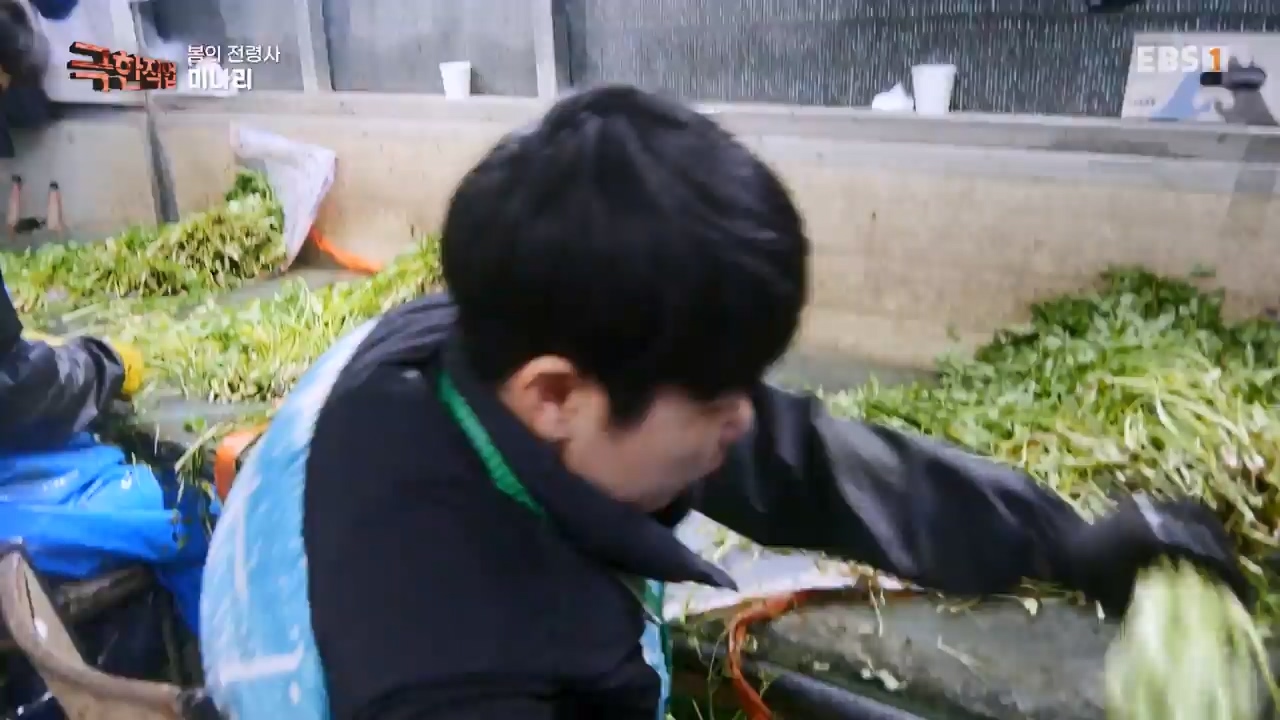 TV - 전 국민의 평생학교 EBS봄의 전령사! 새조개, 미나리, 주꾸미.mp4_20240316_171251.645.jpg