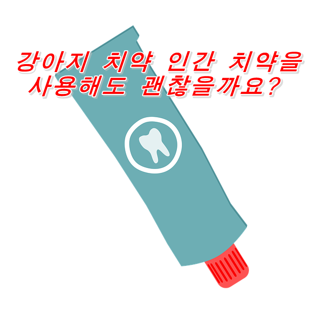  강아지 치약 인간 치약을 사용해도 괜찮을까요?