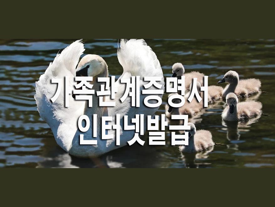  가족관계증명서 인터넷발급