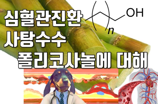  심혈관질환. 사탕수수속 폴리코사놀에 대해